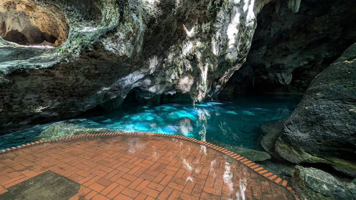 Los 3 Ojos, Boca Chica & más - Tours en República Dominicana - Descubre RD - Imagen 9