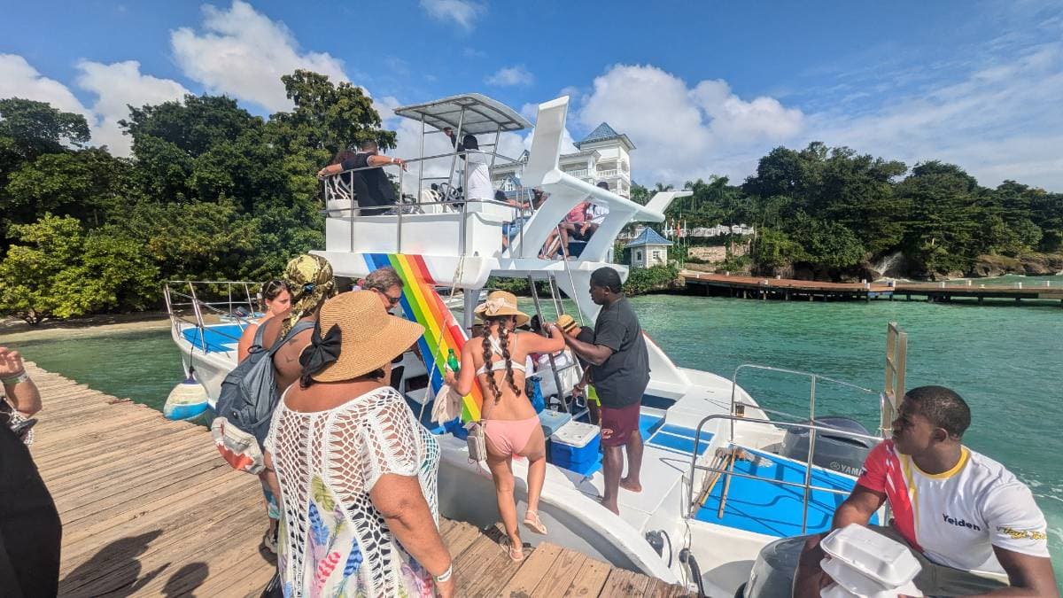 Whale watching tour in Samaná  - Tours en República Dominicana - Descubre RD - Imagen 6