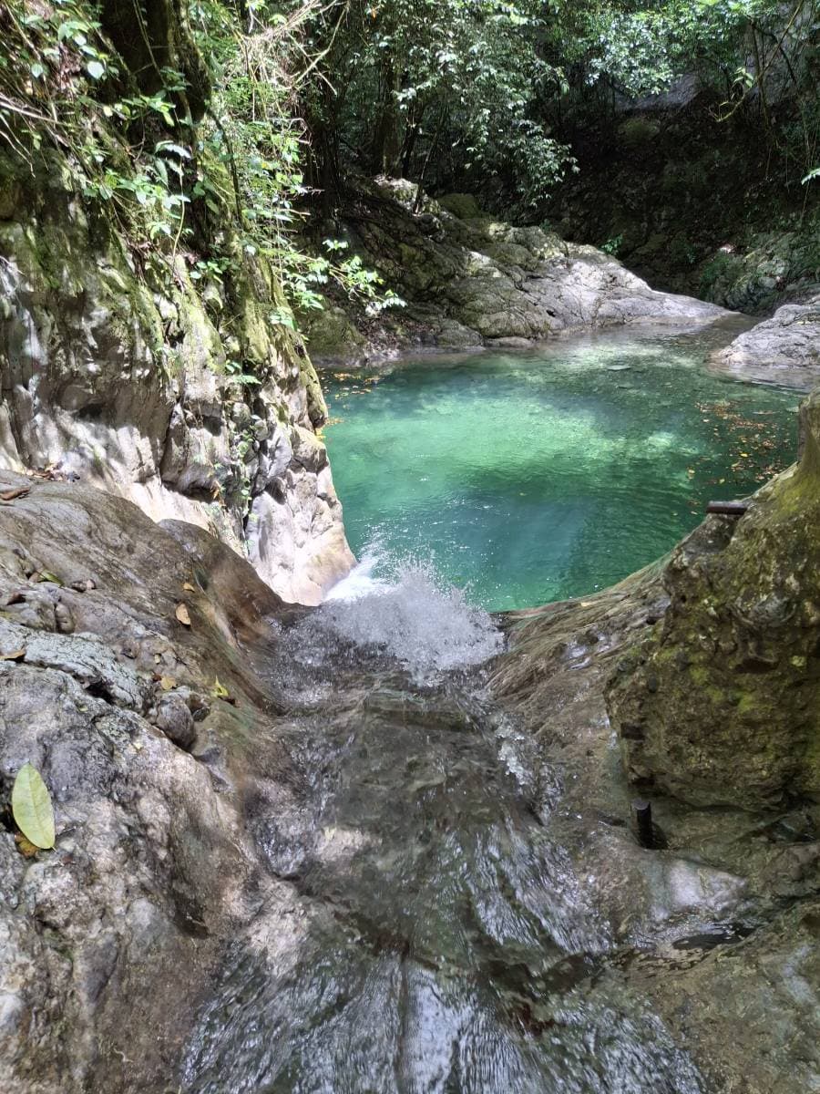 Hiking Tabernacle Waterfall - Tours en República Dominicana - Descubre RD - Imagen 6