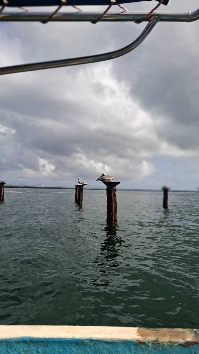 Parque Nacional los Haitises y Cayo levantado  - Tours en República Dominicana - Descubre RD - Imagen 1
