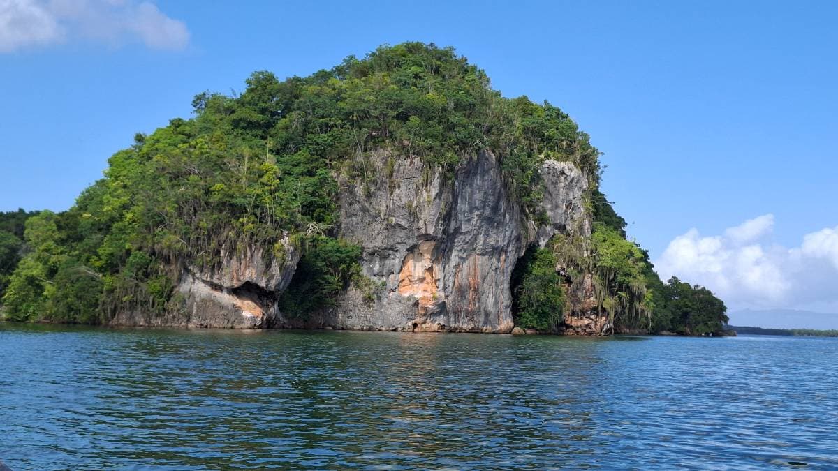 Parque Nacional los Haitises y Cayo levantado  - Tours en República Dominicana - Descubre RD - Imagen 2