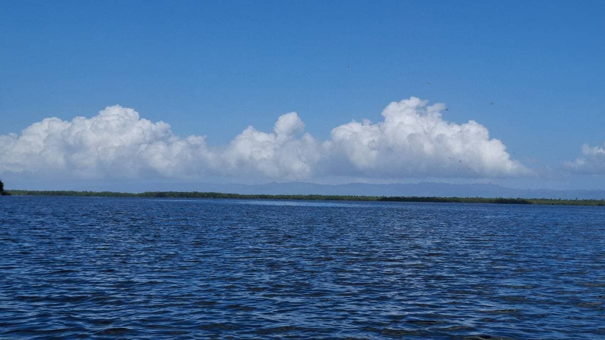 Parque Nacional los Haitises y Cayo levantado  - Tours en República Dominicana - Descubre RD - Imagen 7
