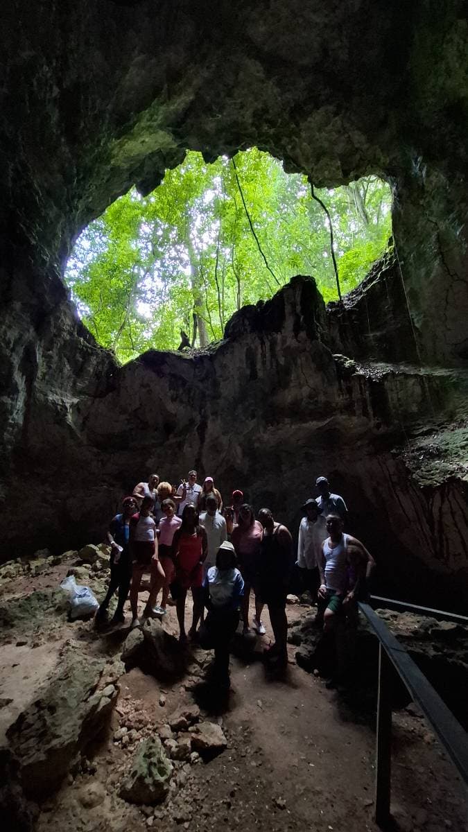 Parque Nacional los Haitises y Cayo levantado  - Tours en República Dominicana - Descubre RD - Imagen 3