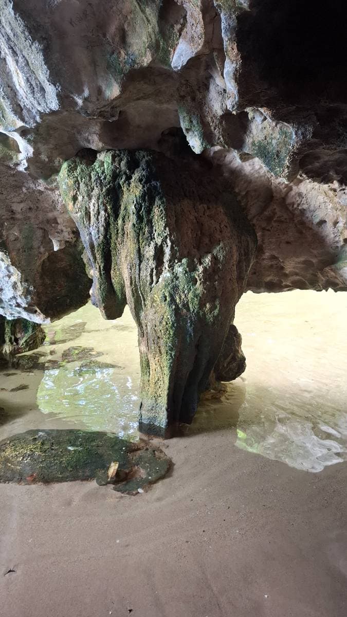 Parque Nacional los Haitises y Cayo levantado  - Tours en República Dominicana - Descubre RD - Imagen 8
