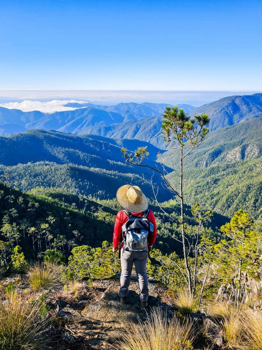 Expedición al Pico Duarte (4 Días / 3 Noches) Full - Tours en República Dominicana - Descubre RD - Imagen 19