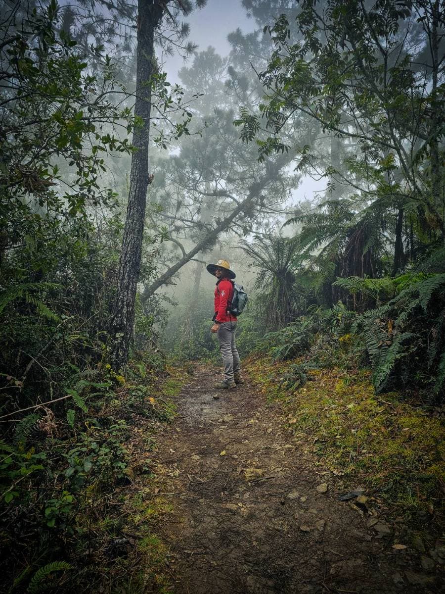 Expedición al Pico Duarte (4 Días / 3 Noches) Full