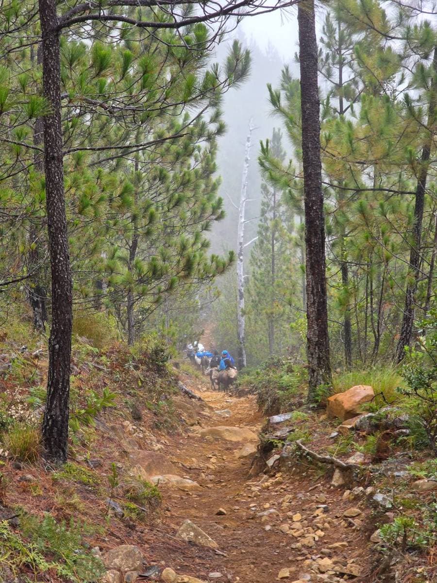Expedición al Pico Duarte (4 Días / 3 Noches) Full - Tours en República Dominicana - Descubre RD - Imagen 14