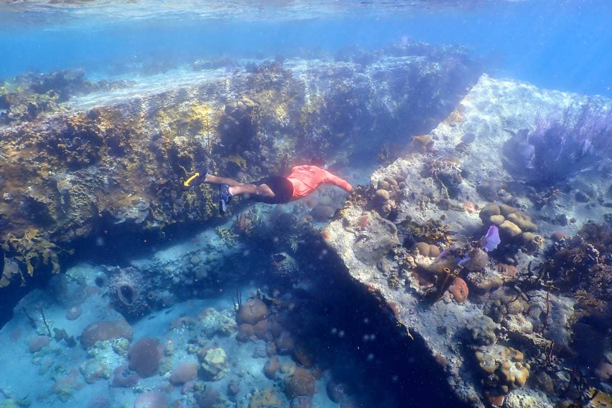 Sandboarding & snorkeling - Tours en República Dominicana - Descubre RD - Imagen 5