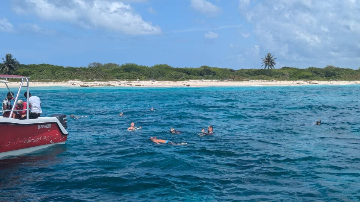 Isla Catalina - Tours en República Dominicana - Descubre RD - Imagen 5