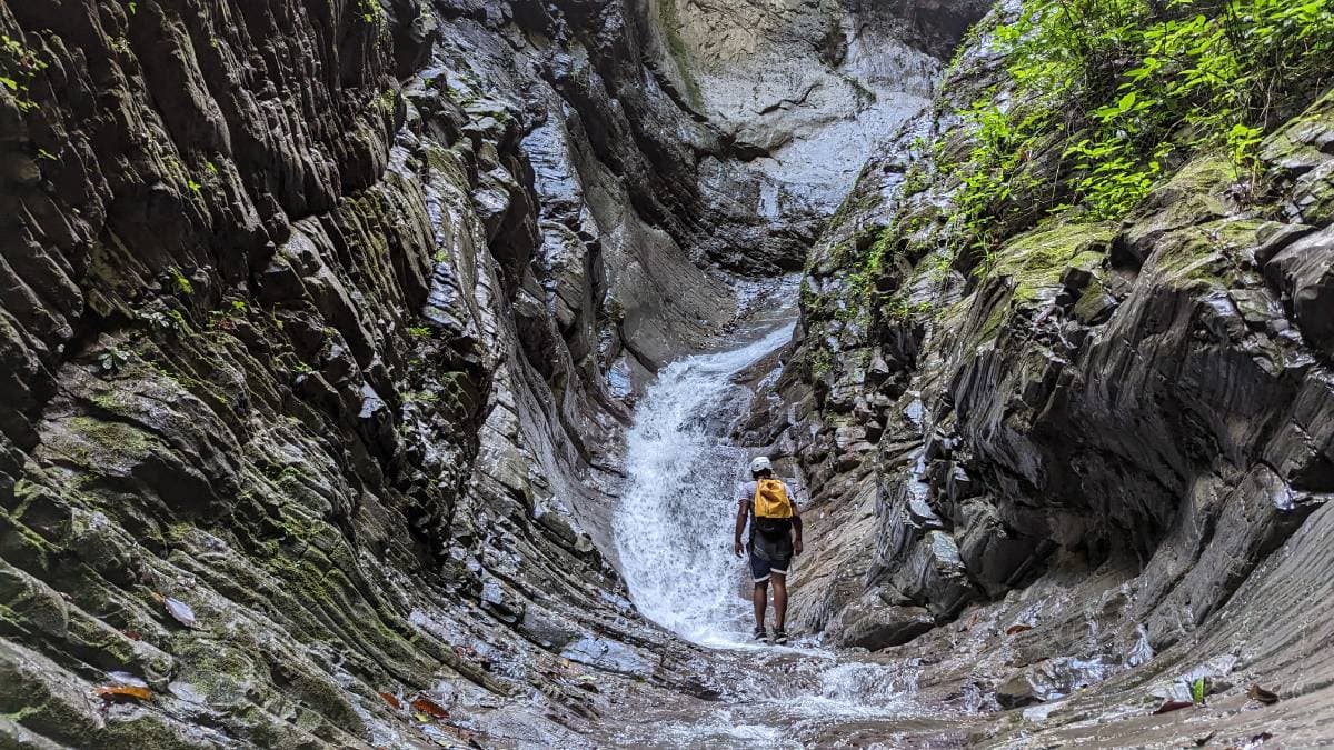 Trekking/rappelling waterfalls in Dominican Republic - Tours en República Dominicana - Descubre RD - Imagen 6