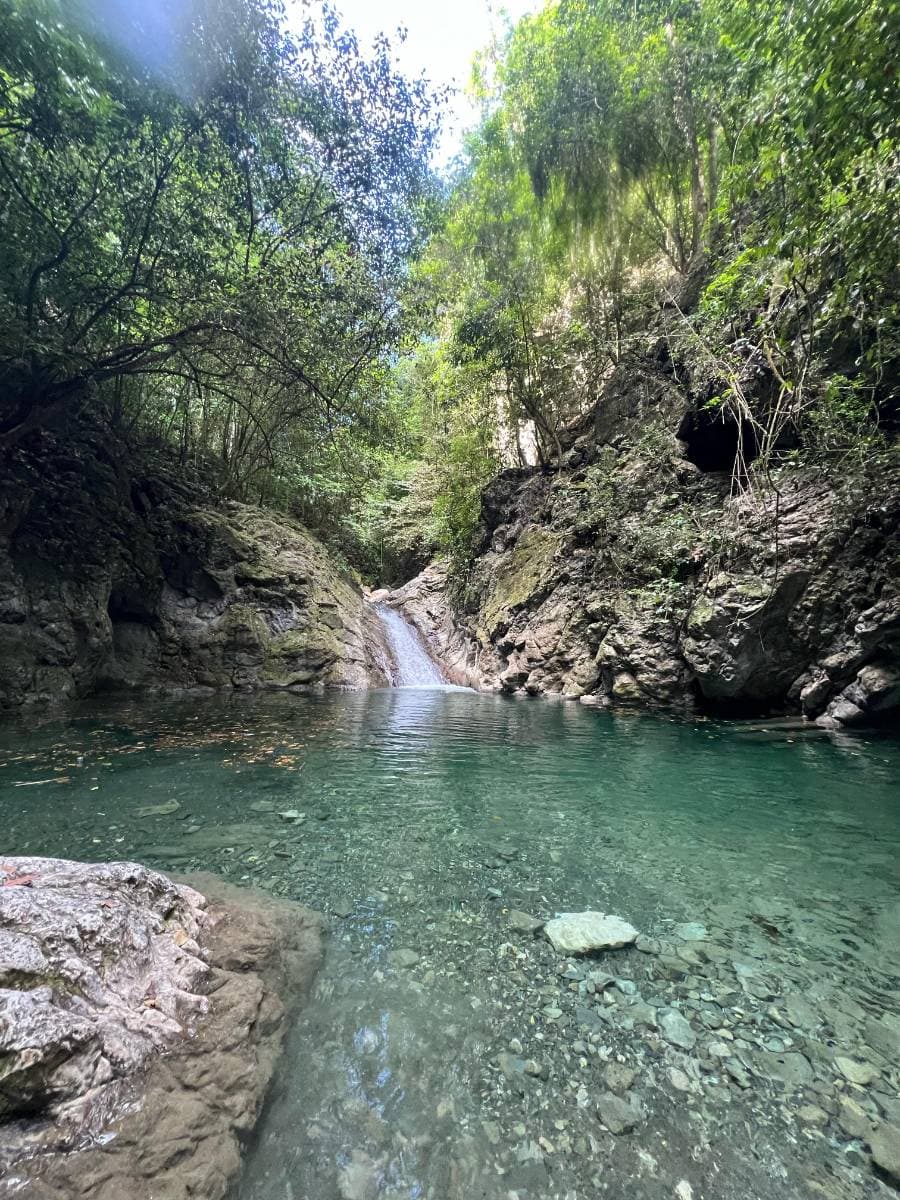 Trekking/rappelling waterfalls in Dominican Republic - Tours en República Dominicana - Descubre RD - Imagen 3