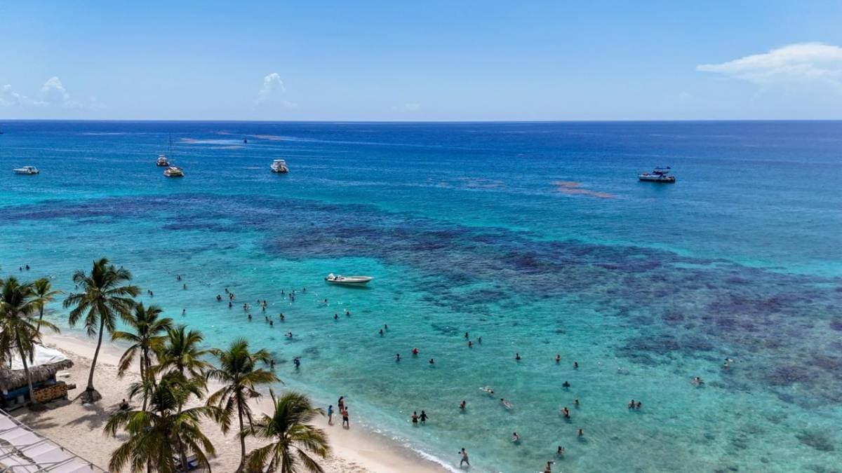 Isla Catalina desde Punta Cana, La Romana y Bayahibe - Tours en República Dominicana - Descubre RD - Imagen 3