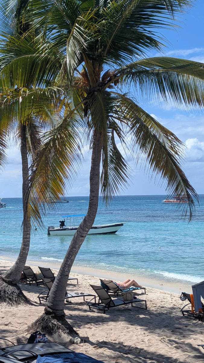 Isla Catalina desde Punta Cana, La Romana y Bayahibe - Tours en República Dominicana - Descubre RD - Imagen 6