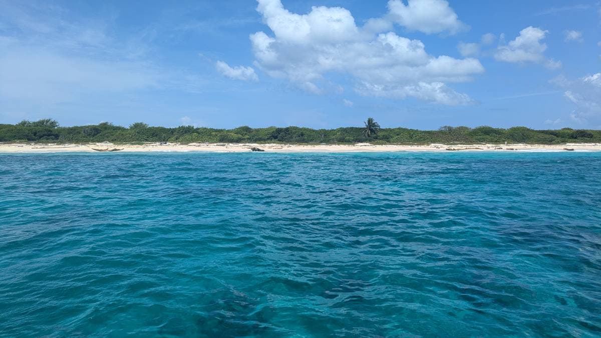 Isla Saona desde Punta Cana, La Romana y Bayahíbe - Tours en República Dominicana - Descubre RD - Imagen 6