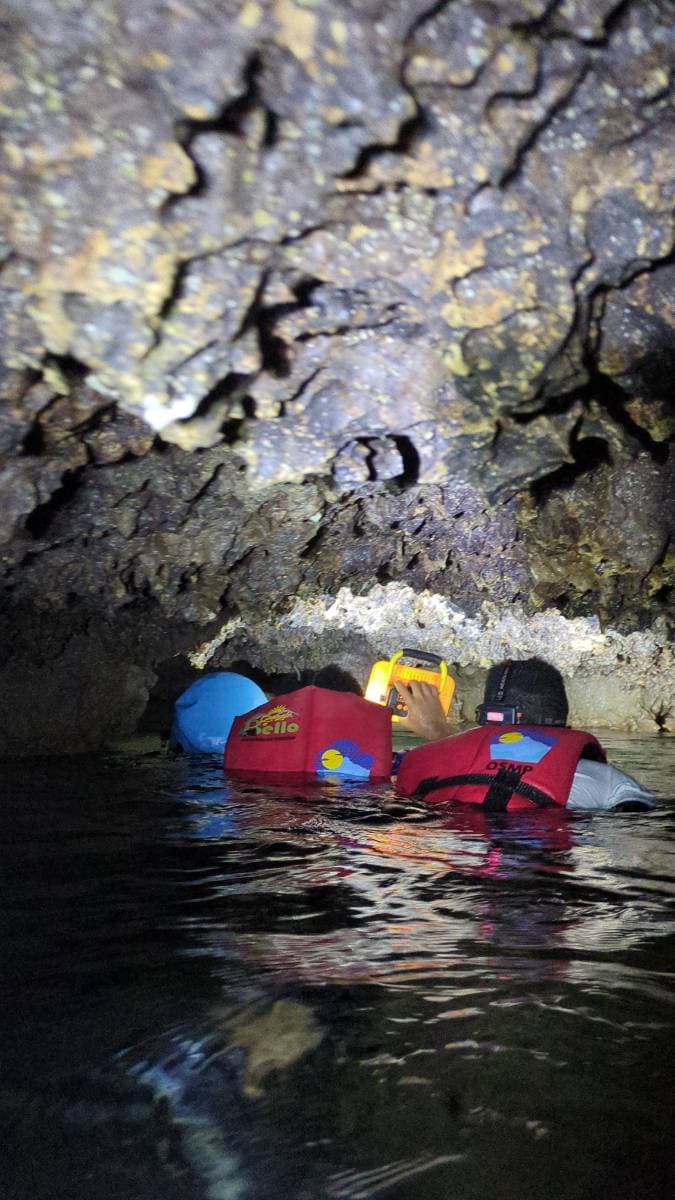 Wild Escape. Caving, subterranean river & waterfall desde Juan Dolio - Tours en República Dominicana - Descubre RD - Imagen 3