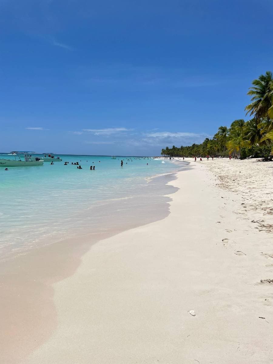 Isla Saona desde Boca Chica - Tours en República Dominicana - Descubre RD - Imagen 4