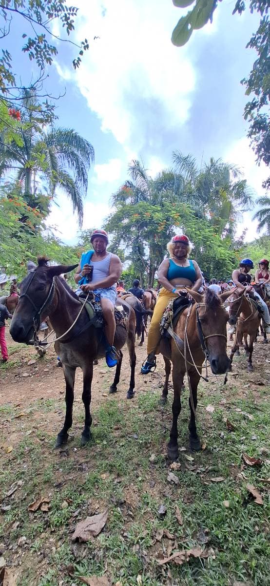 Salto del limón - Tours en República Dominicana - Descubre RD - Imagen 5