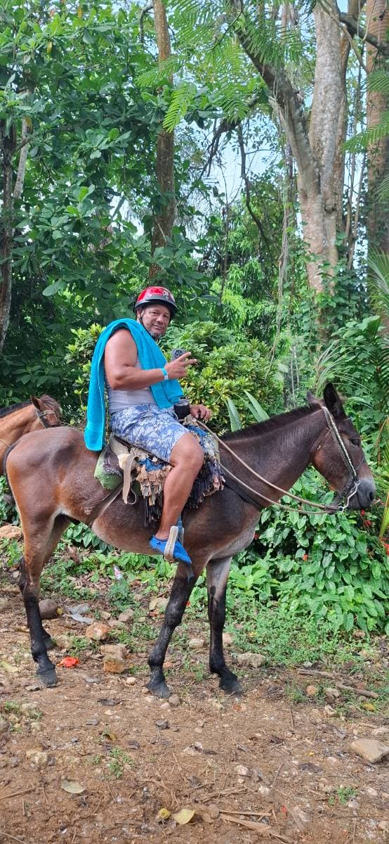 Salto del limón - Tours en República Dominicana - Descubre RD - Imagen 7