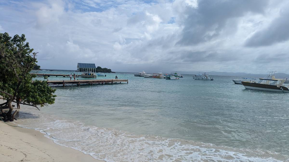 Whale watching tour in Samaná