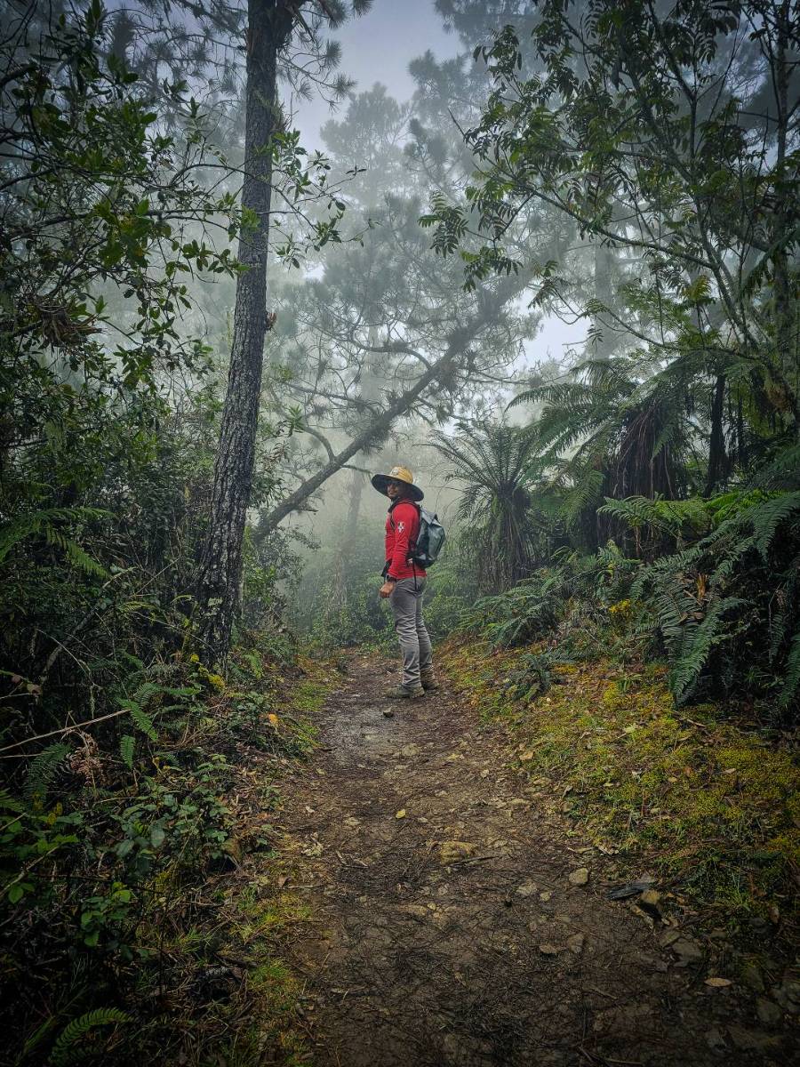 Expedición al Pico Duarte (4 Días / 3 Noches) Full
